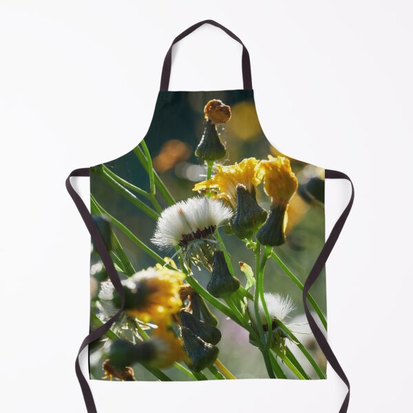 Item preview, White brushes waiting to dry and fly. Leafy Hawkweeds 1 designed and sold by Jouko Lehto Photography.