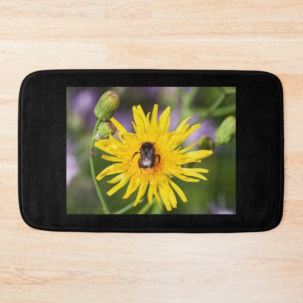 Item preview, Bumblebees pleasure. Leafy Hawkweeds 2 designed and sold by Jouko Lehto Photography.