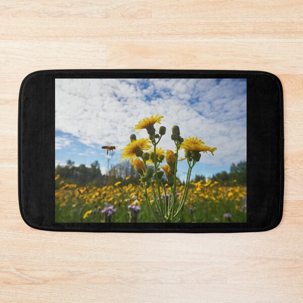Item preview, On the fields of golden flowers we fly. Leafy Hawkweeds 11 designed and sold by Jouko Lehto Photography.