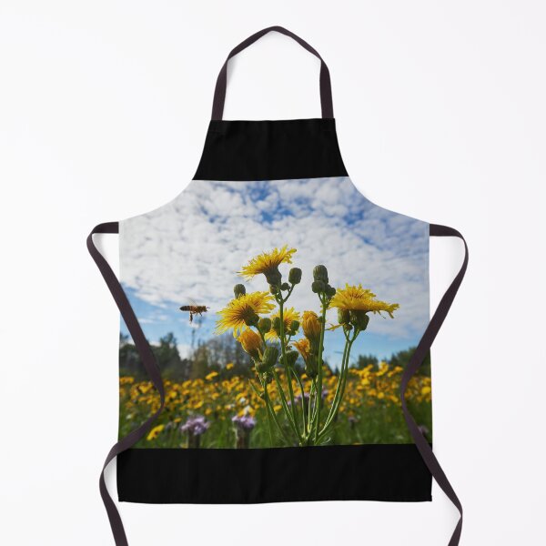 Item preview, On the fields of golden flowers we fly. Leafy Hawkweeds 11 designed and sold by Jouko Lehto Photography.