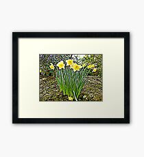 Spring of nature... Framed Print