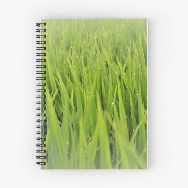Item preview, Morning Dew On Paddy Field designed and sold by kohsm2020.