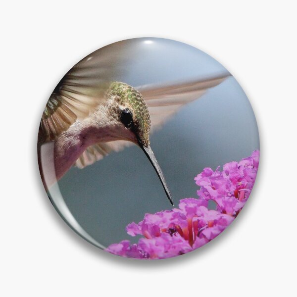 Item preview, Ruby-throated Hummingbird designed and sold by BRENDA DOHERTY.