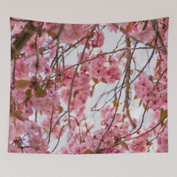 Item preview, Blooming sakura designed and sold by ahmadshalqeh.