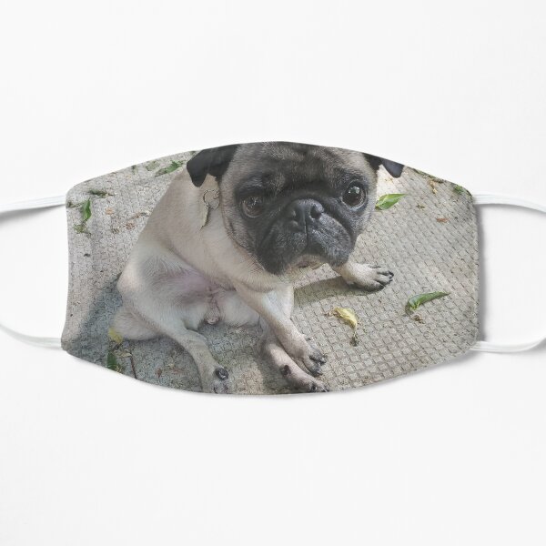 ROSIE TAROT PUG Flat Mask