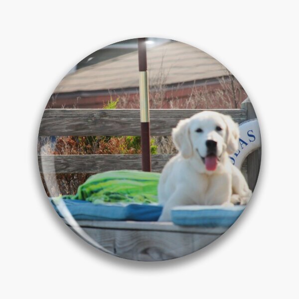 Item preview, Beach Deck Dog designed and sold by Cynthia48.