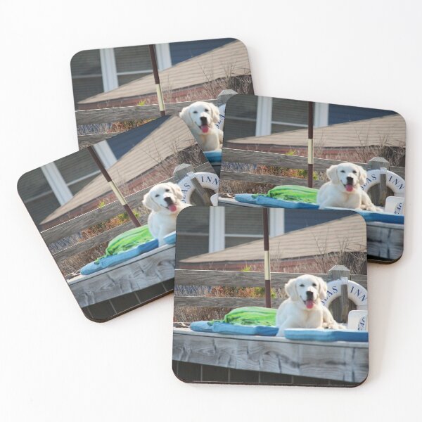 Item preview, Beach Deck Dog designed and sold by Cynthia48.