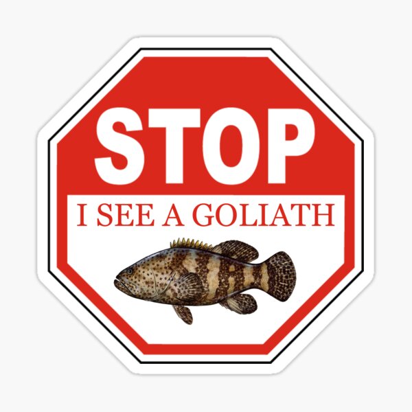 Item preview, Stop I See a Goliath Grouper in the Florida Keys designed and sold by KeysTreasures.