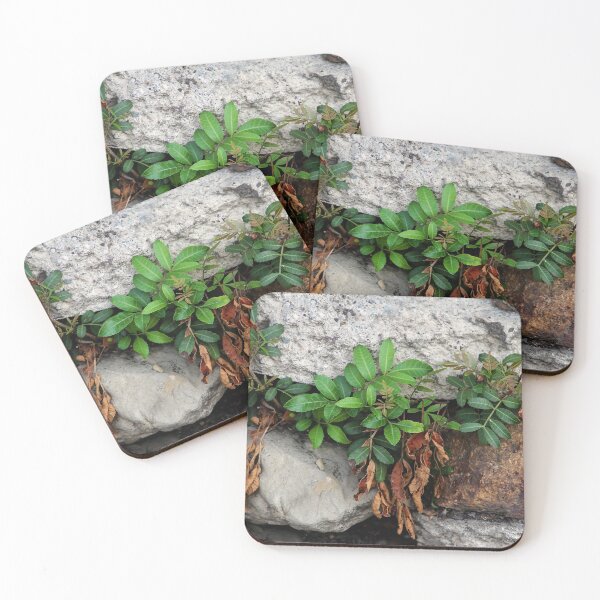 Item preview, Between the Rocks designed and sold by heatherfriedman.