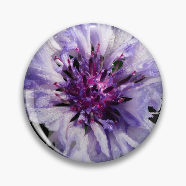 Item preview, The wet and white Bachelor's button 18 designed and sold by Jouko Lehto Photography.