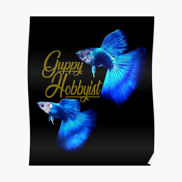 guppy poster