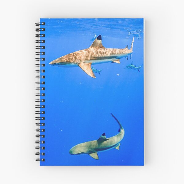 Item preview, VENCHA DIVING designed and sold by VENCHA.