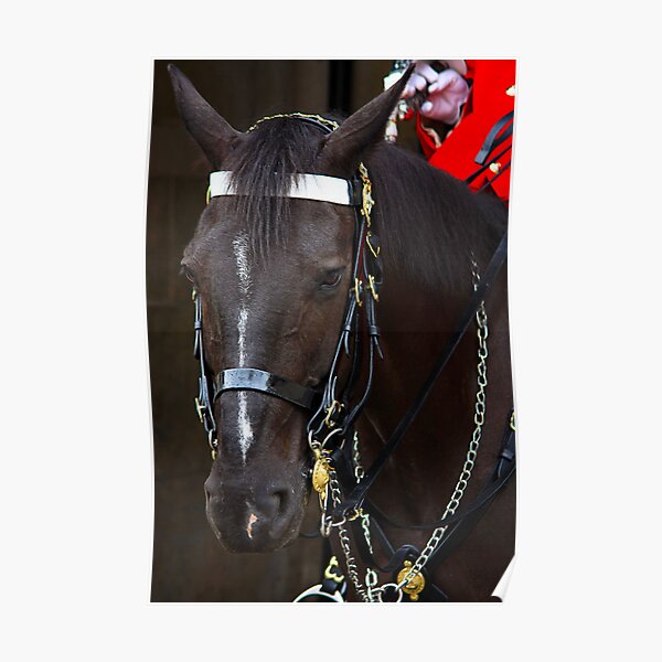 HORSE GUARD Poster