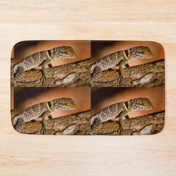 Item preview, Collared Iguana - Madagascar designed and sold by Justharry.