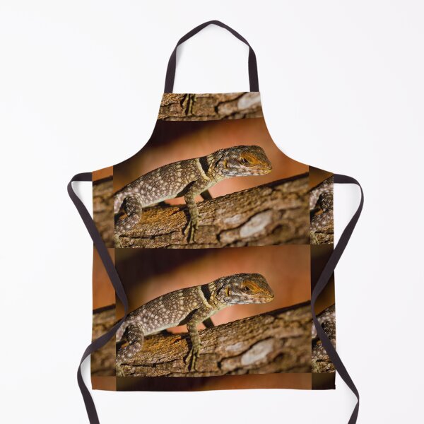 Item preview, Collared Iguana - Madagascar designed and sold by Justharry.
