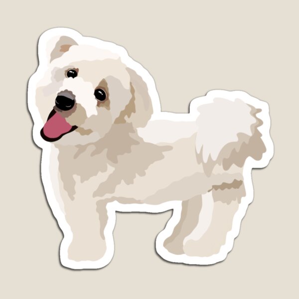 Maltipoo gifts sale