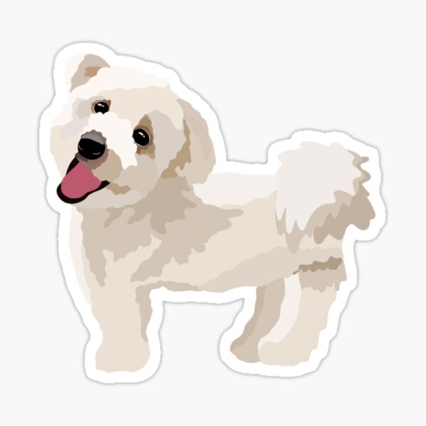 Maltipoo Dog Portrait Digital Illustration Sticker
