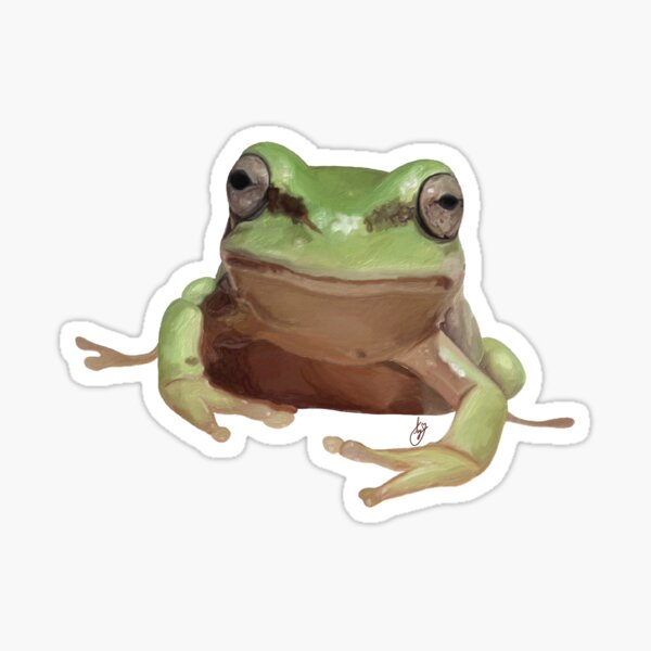 White's Tree Frog Sticker – Amphisbaena Exotics