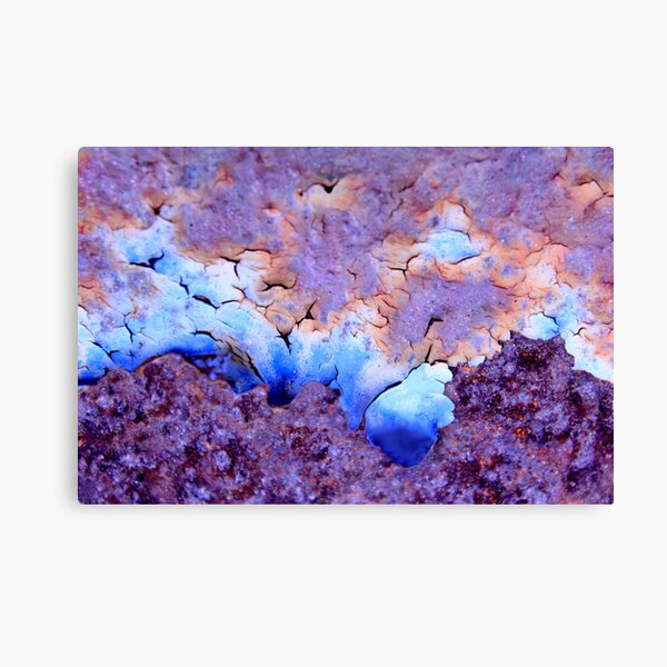 The Birds Canvas Print