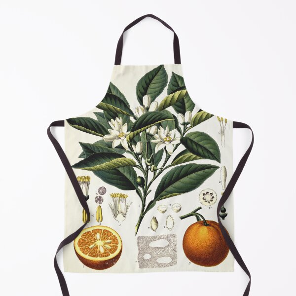 Item preview, Vintage fruit illustration - Citrus vulgaris risso designed and sold by Gardenlibrary.