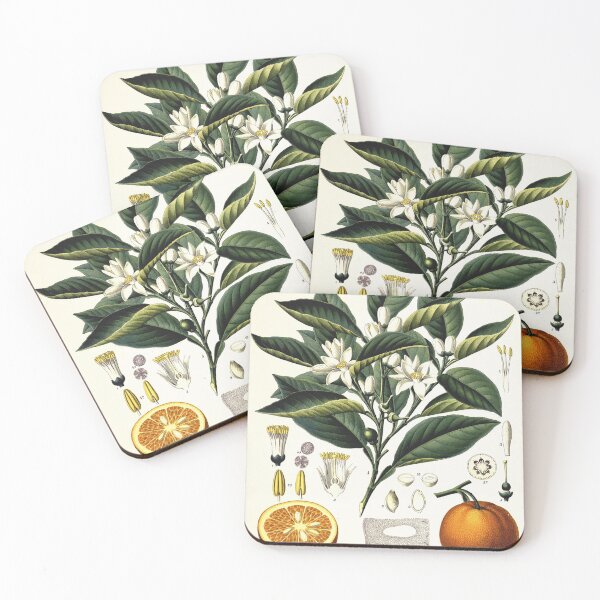 Item preview, Vintage fruit illustration - Citrus vulgaris risso designed and sold by Gardenlibrary.