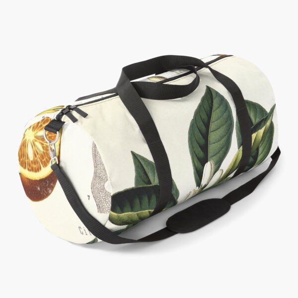 Item preview, Vintage fruit illustration - Citrus vulgaris risso designed and sold by Gardenlibrary.