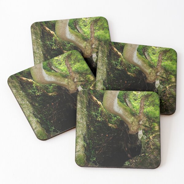 Item preview, Surreal Magical Forest - Study I designed and sold by BritishYank.
