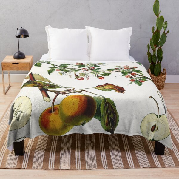 Item preview, Vintage fruit illustration - Pirus malus (apple) designed and sold by Gardenlibrary.