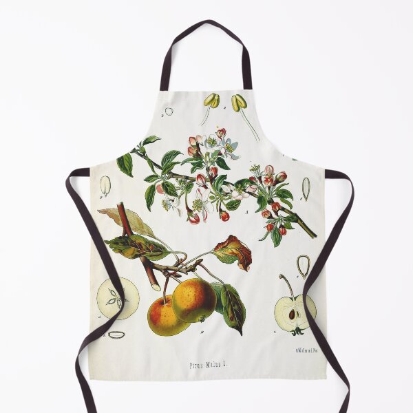 Item preview, Vintage fruit illustration - Pirus malus (apple) designed and sold by Gardenlibrary.