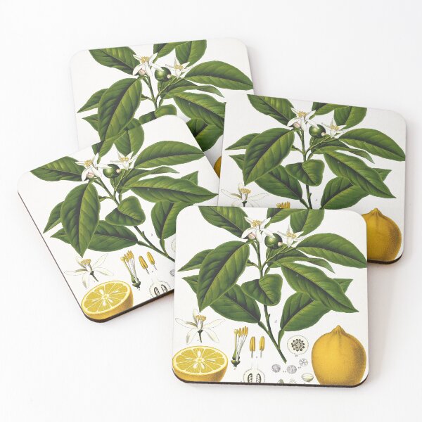 Item preview, Vintage fruit illustration - Citrus limonum risso (lemon) designed and sold by Gardenlibrary.