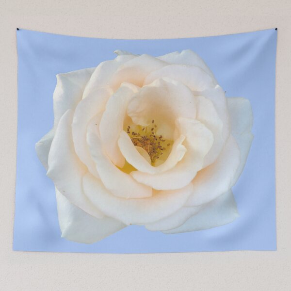 Item preview, White Rose designed and sold by sabinako.
