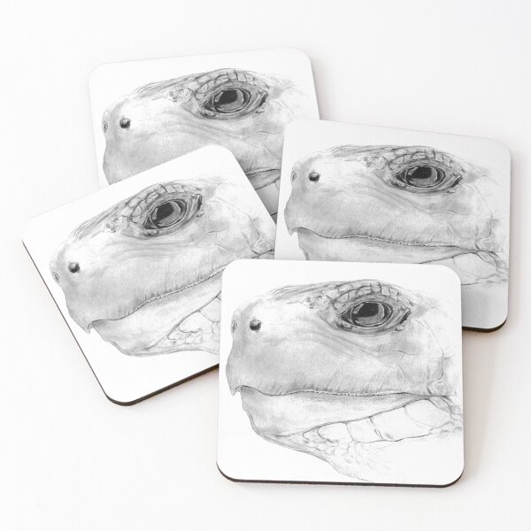 Item preview, Red-footed Tortoise Portrait designed and sold by HeadBlaze.
