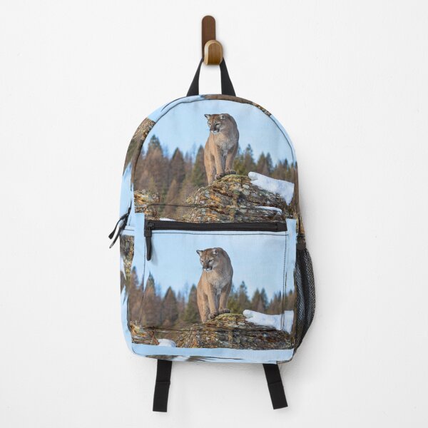 Item preview, Mountain lion in winter designed and sold by James Cumming.