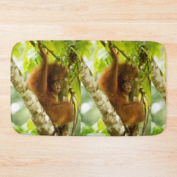 Item preview, Young Orangutan Borneo I designed and sold by Justharry.