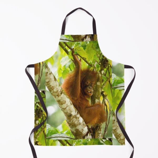 Item preview, Young Orangutan Borneo I designed and sold by Justharry.