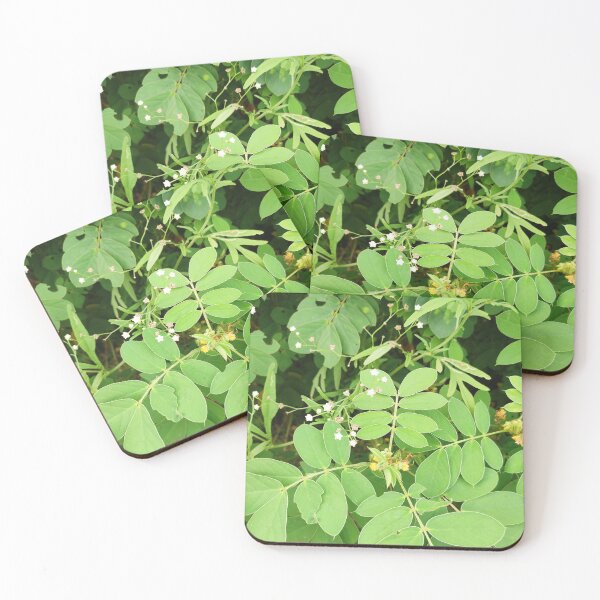 Item preview, Wisdom in the wild designed and sold by Maitri-Sanghvi1.