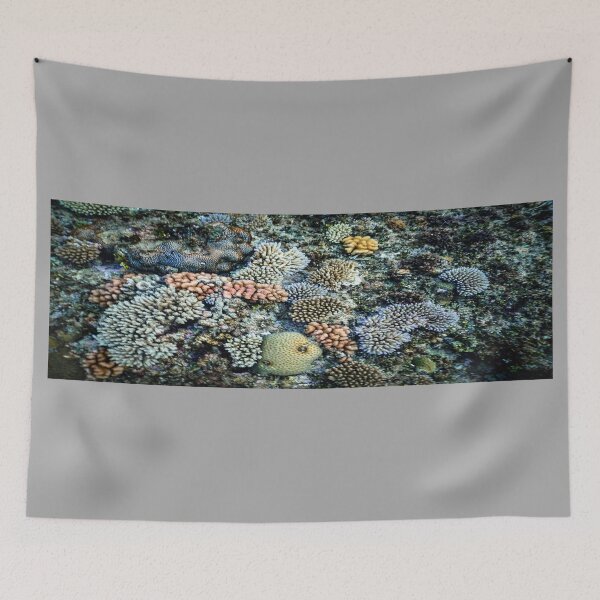 Item preview, VENCHA DIVING designed and sold by VENCHA.