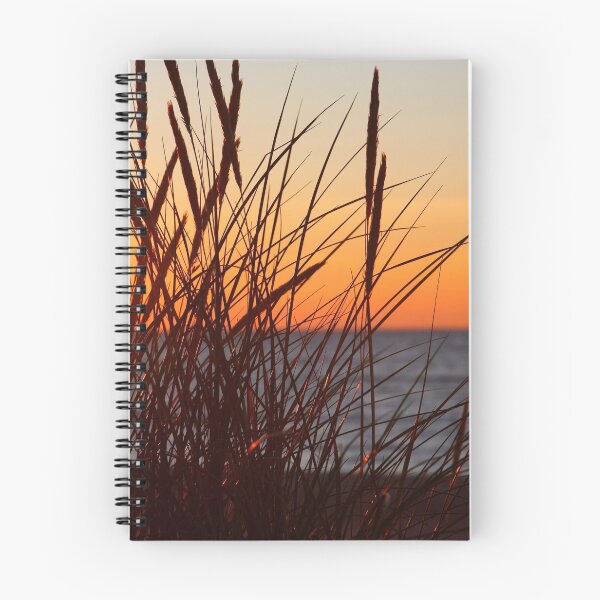 Item preview, Dune grass silhouette at sunset  designed and sold by MaJoli.