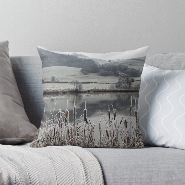 A Winter Scene Throw Pillow