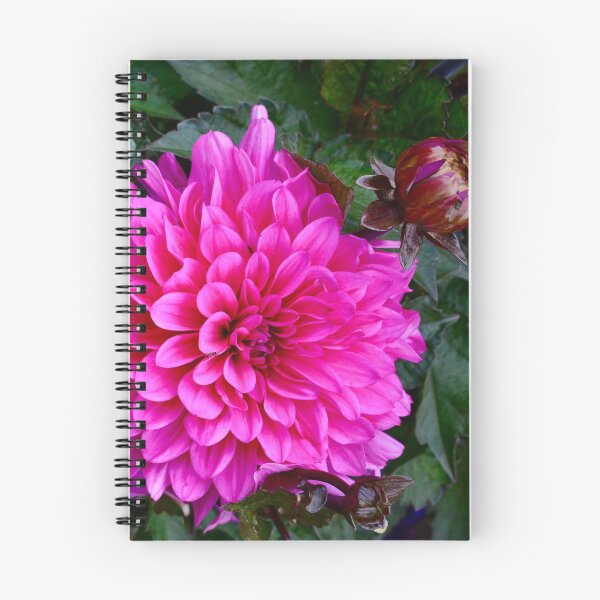 Item preview, Trentham Gardens designed and sold by Carina Ann.