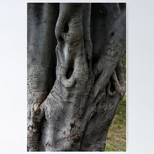 Item preview, Tree With A Story  designed and sold by heatherfriedman.