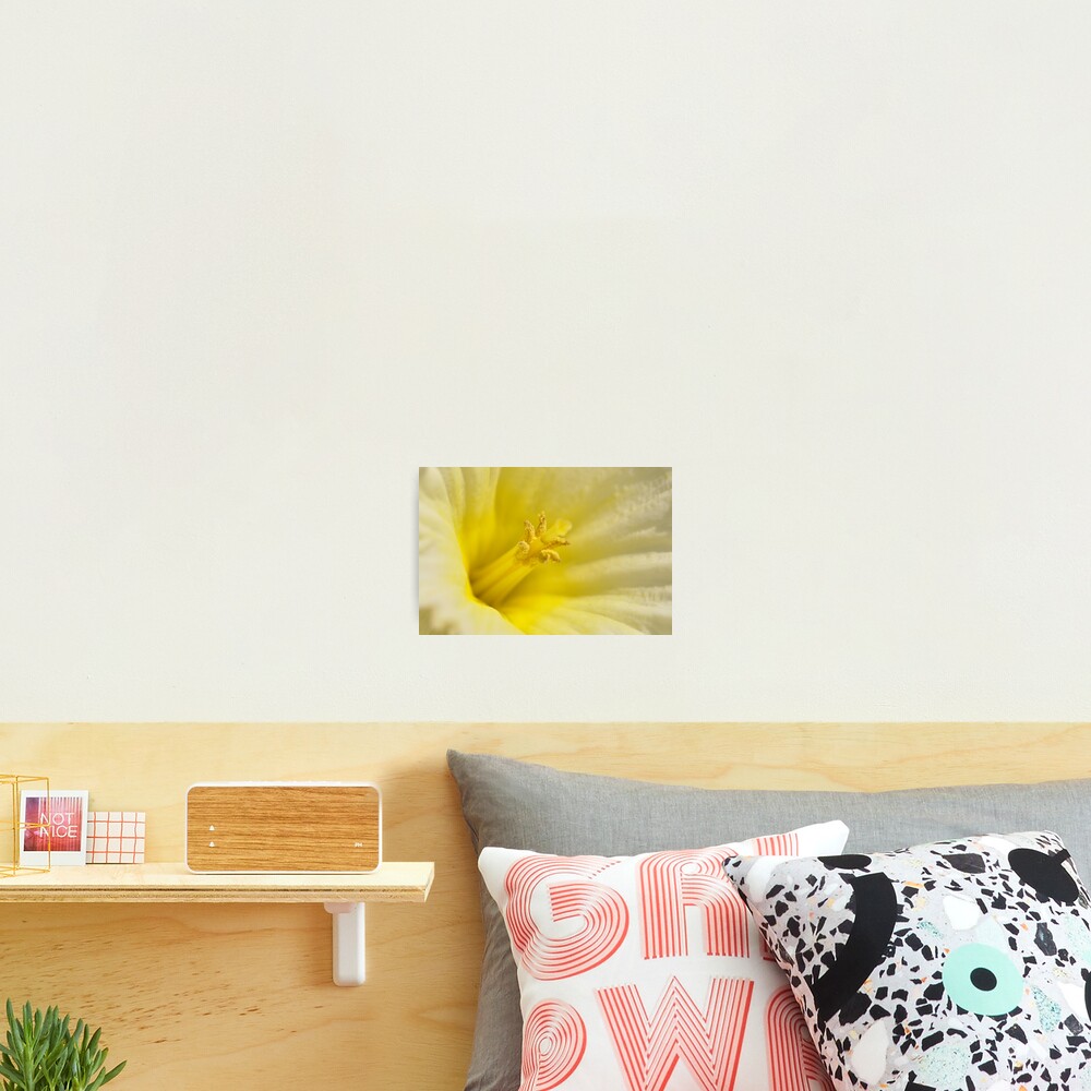 Item preview, Photographic Print designed and sold by Wviolet28.