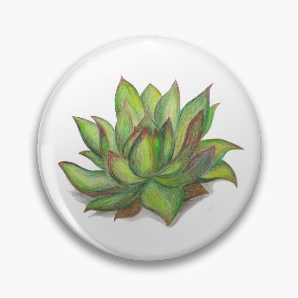 Item preview, Echeveria Agavoides - Succulent designed and sold by LReevesArt.