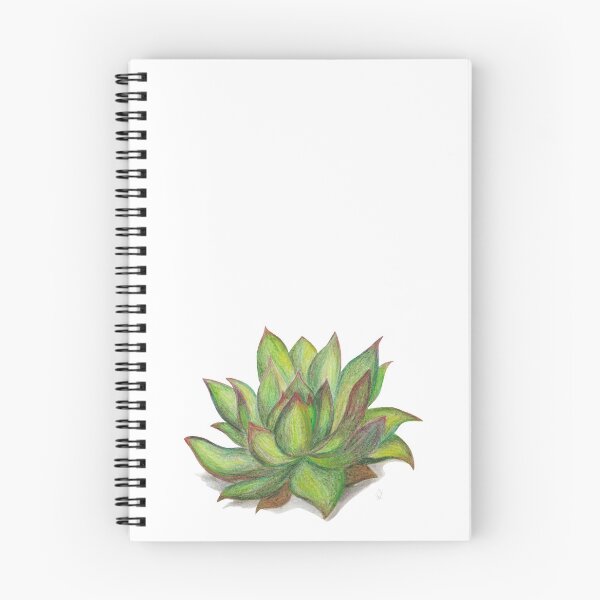 Item preview, Echeveria Agavoides - Succulent designed and sold by LReevesArt.