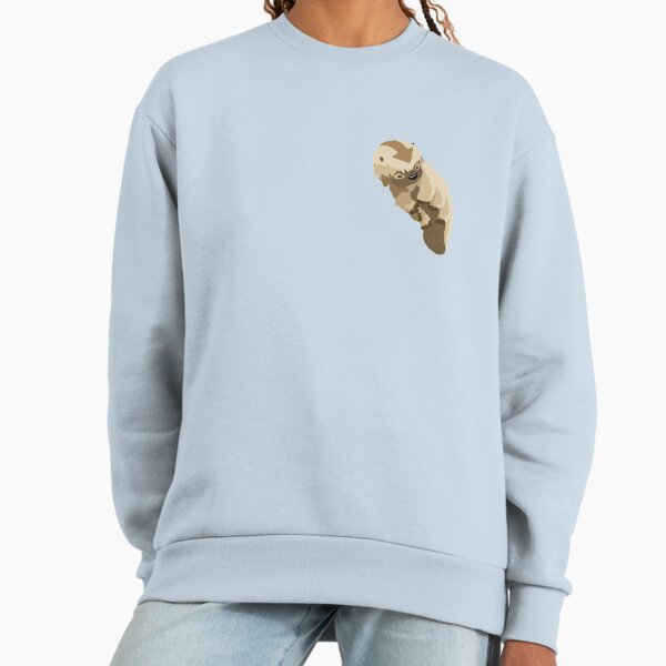 Sky Bison Premium Oversized Sweatshirt