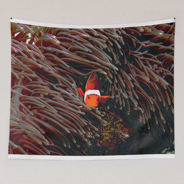 Item preview, Clownfish in the ocean designed and sold by OMdesigns93.
