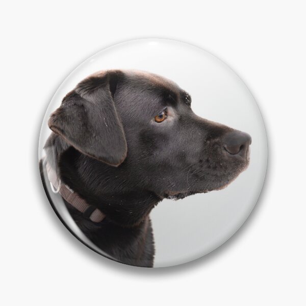 Item preview, Labrador designed and sold by Coolprints1.