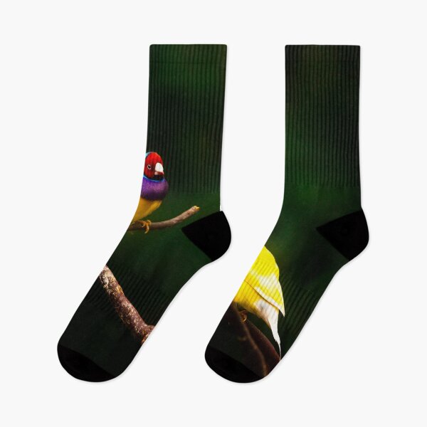 Item preview, Gouldian Rainbow Finches designed and sold by crimsonbamboo.