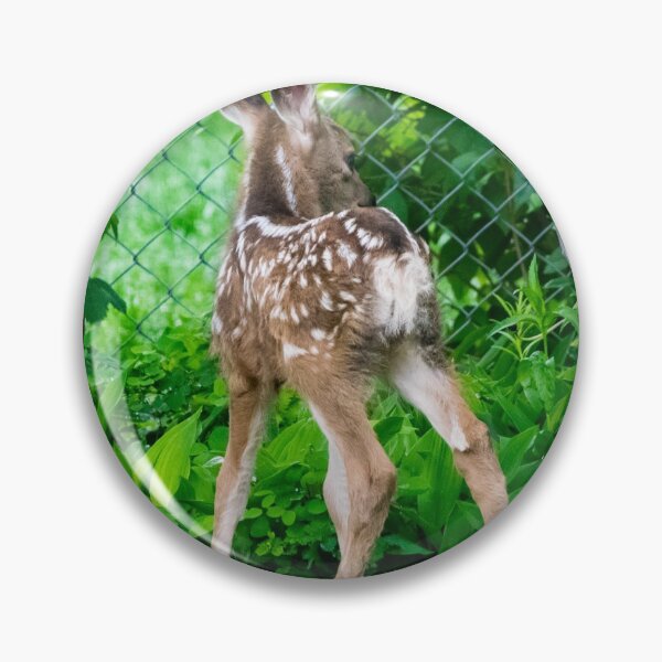 Item preview, Baby twin mule deer  designed and sold by CanadianWild418.