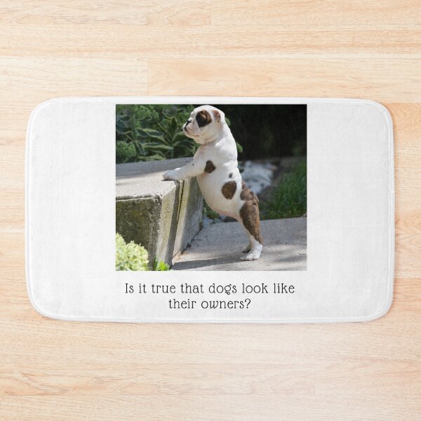 Item preview, Is it true that dogs look like their owners? Little Bulldog pup, standing on hind legs, front paws on the next step, with a big belly sticking out designed and sold by JellyBeenzz.